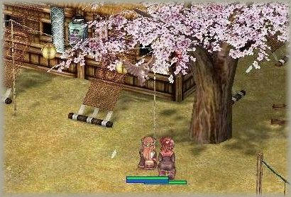 花見