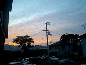 b89d0844jpeg