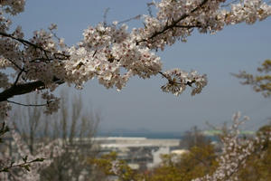 080406touryou005.JPG