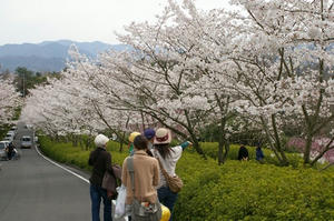 080405mannou003.JPG