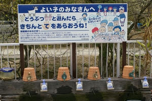080413shirotori019.JPG