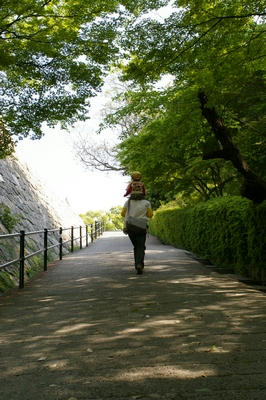 080429maru003.JPG