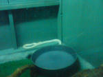 熱帯園爬虫類６