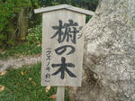 0369dc96.jpg