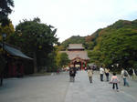 ee61273f.jpg