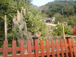 f3760b6e.jpg