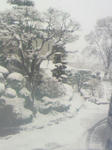 2010041706390000.jpg