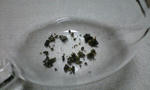 100504_0228~0002.jpg