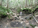 CIMG0356.jpg
