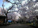 120424_1659~0001.JPG