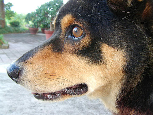 いいかげんにしてよね