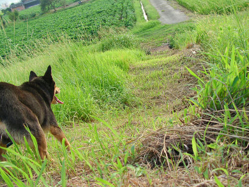 今日はやめとこう