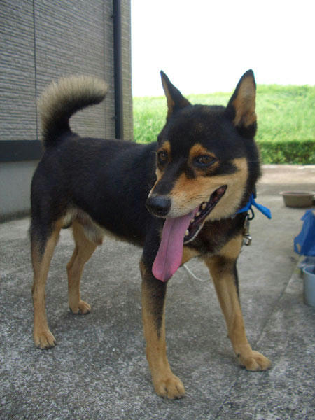 どう思う？この蒸し暑さ！