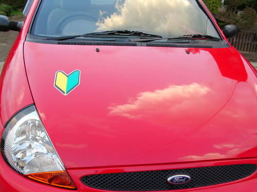 これが目に入らぬか！