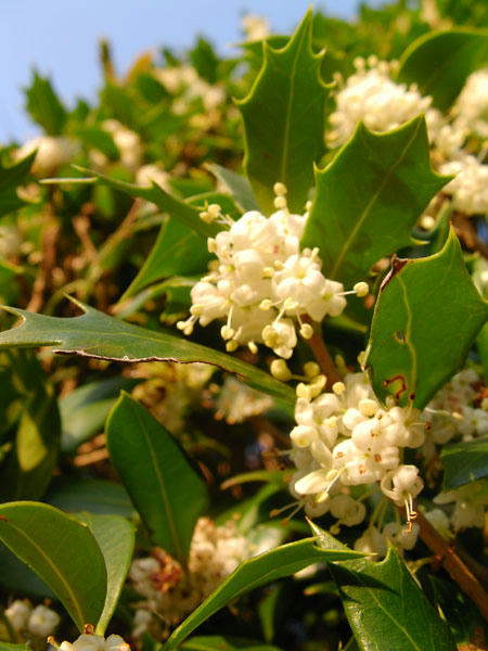 まぶしい夕日を浴びて