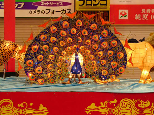 孔雀もゴージャス