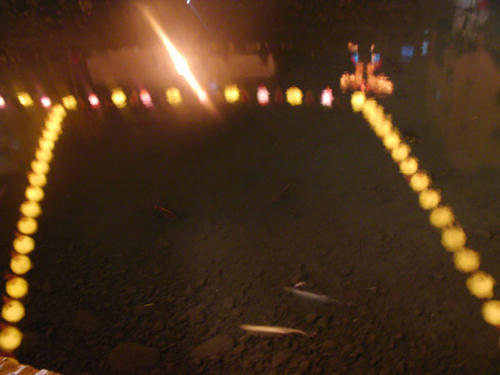 水面のランタンと鯉