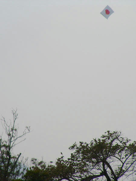 空に浮かぶ国旗