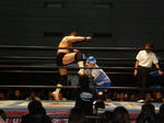 P1262600.jpg