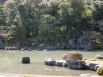P3154000.jpg