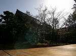 P3154034.jpg