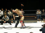 P5100937.jpg