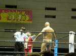 PB080505.jpg
