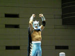 PB080557.jpg