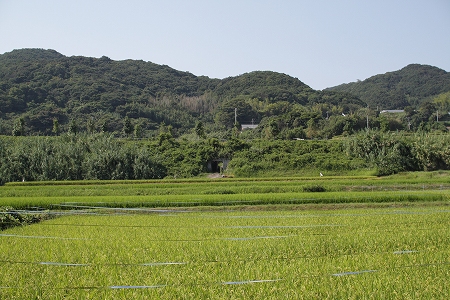 DPP_0256.jpg