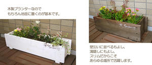 090310-24.jpg