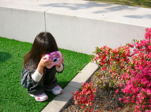camera