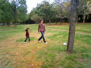 緑地公園