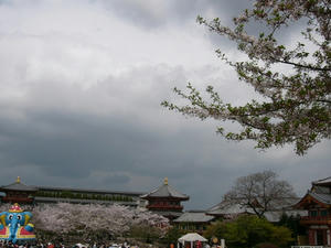 お寺