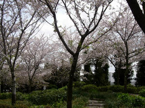 お寺