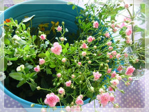 花材