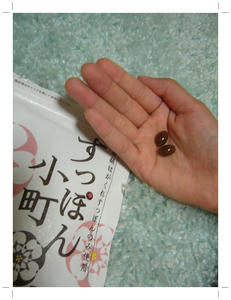すっぽん小町