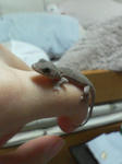 200809061809000.jpg