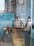 200810051111000.jpg