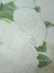 200906290144000.jpg