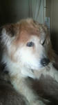 2009041214230000.jpg