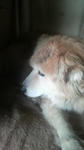 2009041214230001.jpg