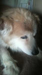 2009041214230003.jpg