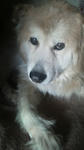 2009041214240000.jpg