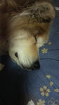 2009041303110000.jpg