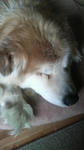 2009042714390001.jpg