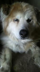 2009042714390002.jpg