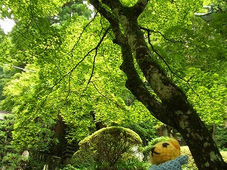 0707DSCF9078.jpg