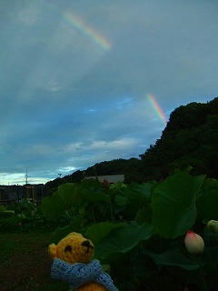 0715DSCF9184.jpg