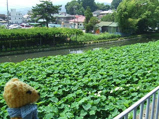 0725DSCF9338.jpg