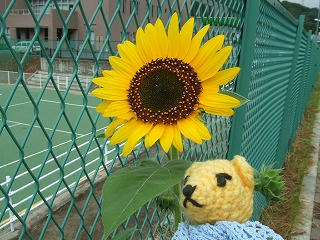0731DSCF9406.jpg